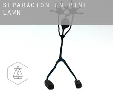 Separación en  Pine Lawn