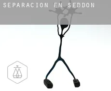 Separación en  Seddon