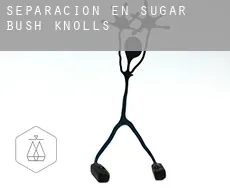 Separación en  Sugar Bush Knolls