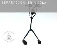 Separación en  Viola