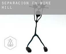 Separación en Wine Hill