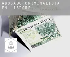 Abogado criminalista en  Lisdorf