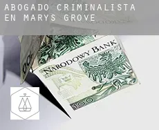 Abogado criminalista en  Marys Grove