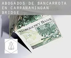 Abogados de bancarrota en Carranahingan Bridge