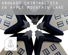 Abogado criminalista en Apple Mountain Lake