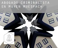 Abogado criminalista en  Moyen-Muespach