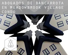 Abogados de bancarrota en  Meadowbrook Village Condo