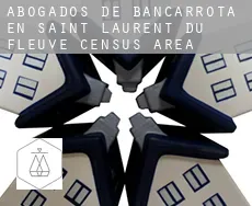 Abogados de bancarrota en  Saint-Laurent-du-Fleuve (census area)