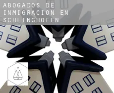 Abogados de inmigración en  Schlinghofen