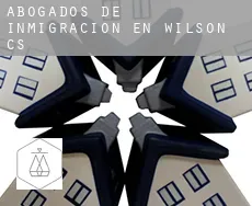 Abogados de inmigración en  Wilson (census area)