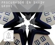 Procurador en  Shady Grove