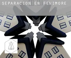 Separación en  Fenimore