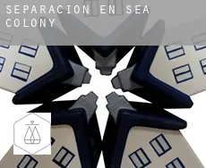 Separación en Sea Colony