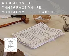 Abogados de inmigración en  Montagny-les-Lanches