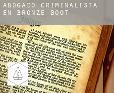 Abogado criminalista en  Bronze Boot
