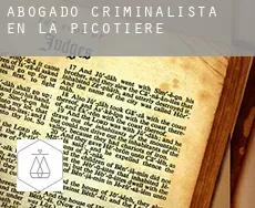 Abogado criminalista en La Picotière
