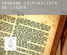 Abogado criminalista en  Linden