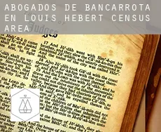 Abogados de bancarrota en  Louis-Hébert (census area)