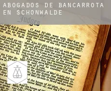 Abogados de bancarrota en  Schönwalde