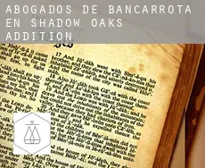 Abogados de bancarrota en  Shadow Oaks Addition