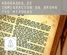 Abogados de inmigración en  Brown-Tye Meadows