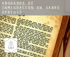 Abogados de inmigración en  Sabre Springs
