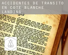 Accidentes de tránsito en Cote Blanche Landing