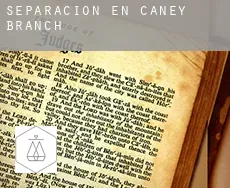 Separación en  Caney Branch