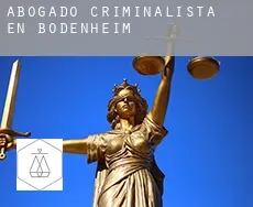 Abogado criminalista en  Bodenheim