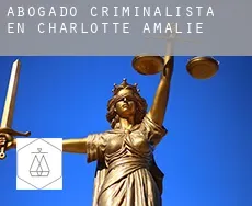 Abogado criminalista en  Charlotte Amalie