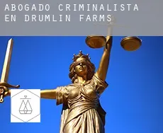 Abogado criminalista en  Drumlin Farms