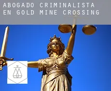 Abogado criminalista en  Gold Mine Crossing