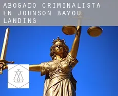 Abogado criminalista en  Johnson Bayou Landing