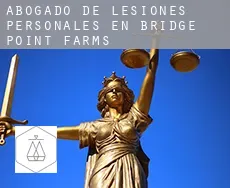 Abogado de lesiones personales en  Bridge Point Farms