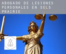 Abogado de lesiones personales en  Sels Prairie