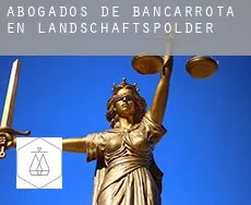 Abogados de bancarrota en  Landschaftspolder