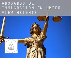 Abogados de inmigración en  Umber View Heights