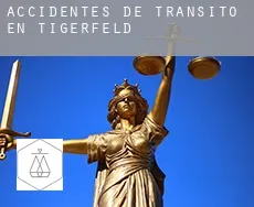 Accidentes de tránsito en  Tigerfeld