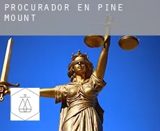 Procurador en  Pine Mount