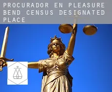 Procurador en  Pleasure Bend