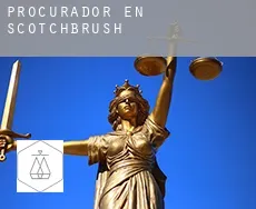 Procurador en  Scotchbrush