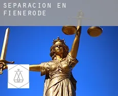 Separación en  Fienerode