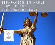 Separación en  Maple Grove