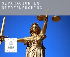 Separación en  Niederneuching