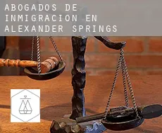 Abogados de inmigración en  Alexander Springs