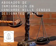 Abogados de inmigración en  Concorde Hills