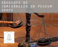 Abogados de inmigración en  Possum Grape
