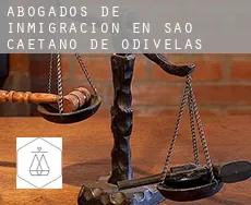 Abogados de inmigración en  São Caetano de Odivelas