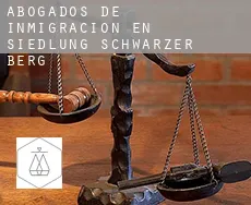 Abogados de inmigración en  Siedlung Schwarzer Berg