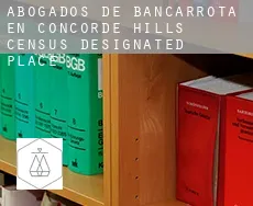 Abogados de bancarrota en  Concorde Hills